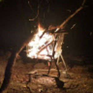 Meet your Posher, Logan